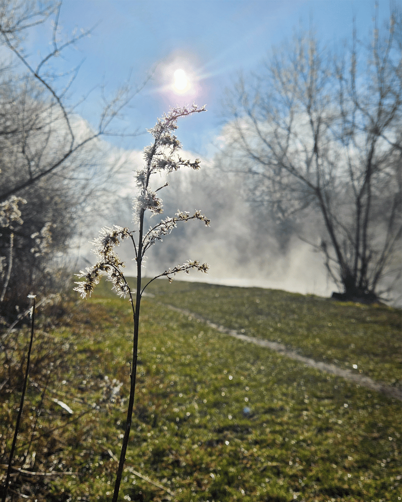 Hévíz patak gyönyörű partja, egy napsütéses téli napon